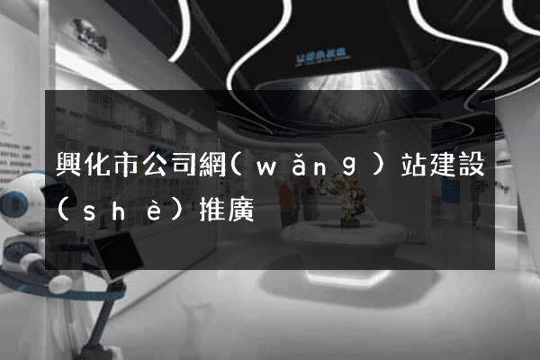 興化市公司網(wǎng)站建設(shè)推廣