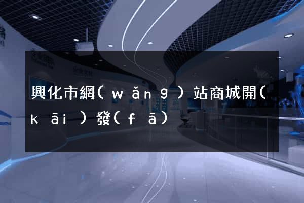 興化市網(wǎng)站商城開(kāi)發(fā)