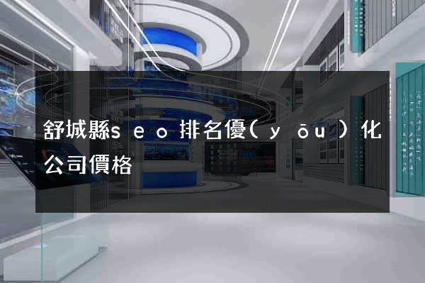 舒城縣seo排名優(yōu)化公司價格