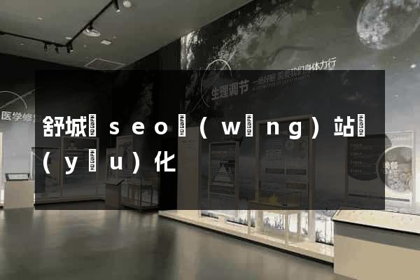 舒城縣seo網(wǎng)站優(yōu)化