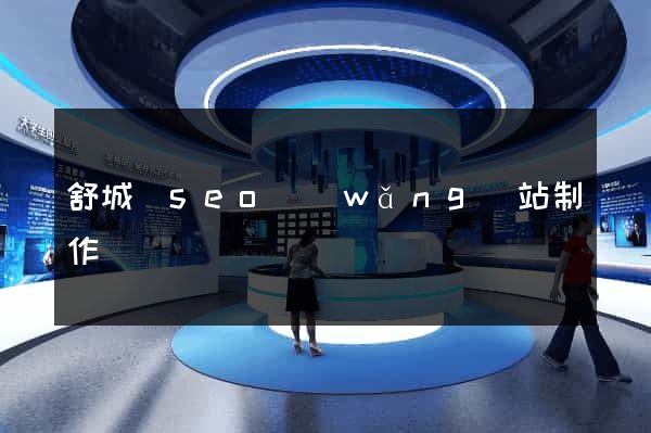 舒城縣seo網(wǎng)站制作