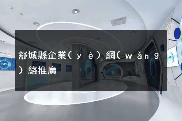 舒城縣企業(yè)網(wǎng)絡推廣