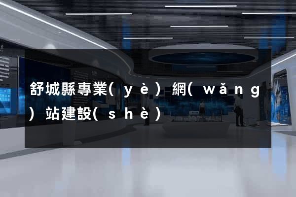 舒城縣專業(yè)網(wǎng)站建設(shè)