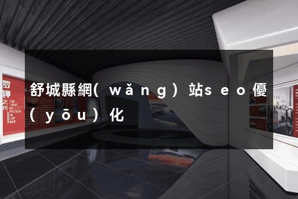 舒城縣網(wǎng)站seo優(yōu)化