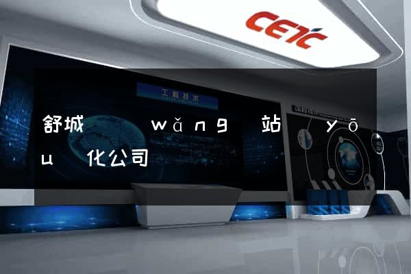 舒城縣網(wǎng)站優(yōu)化公司