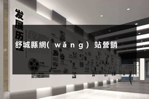 舒城縣網(wǎng)站營銷