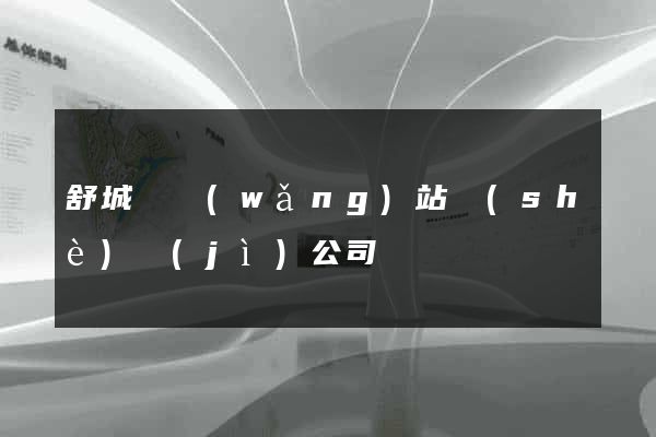 舒城縣網(wǎng)站設(shè)計(jì)公司