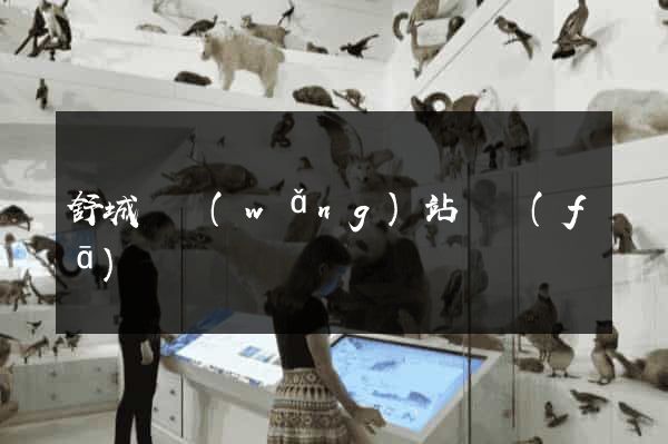 舒城縣網(wǎng)站開發(fā)