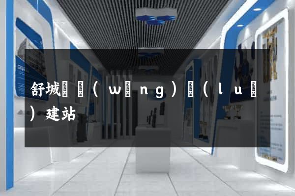 舒城縣網(wǎng)絡(luò)建站