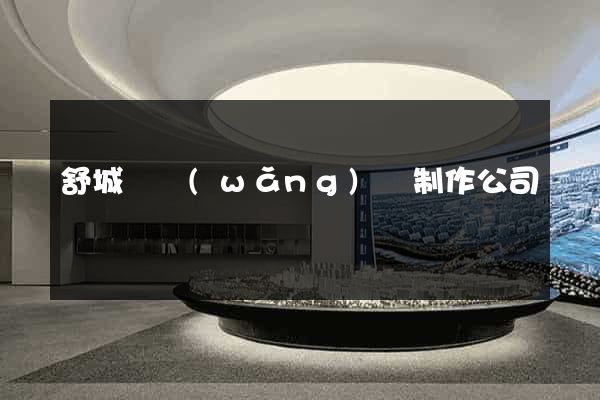 舒城縣網(wǎng)頁制作公司