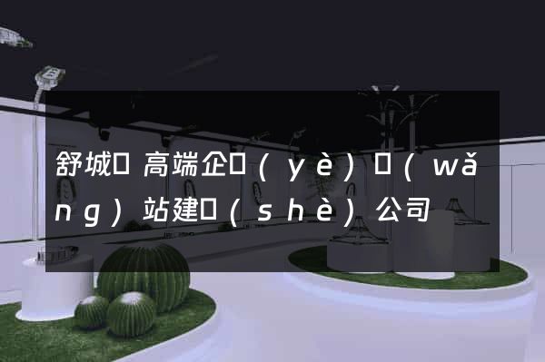 舒城縣高端企業(yè)網(wǎng)站建設(shè)公司