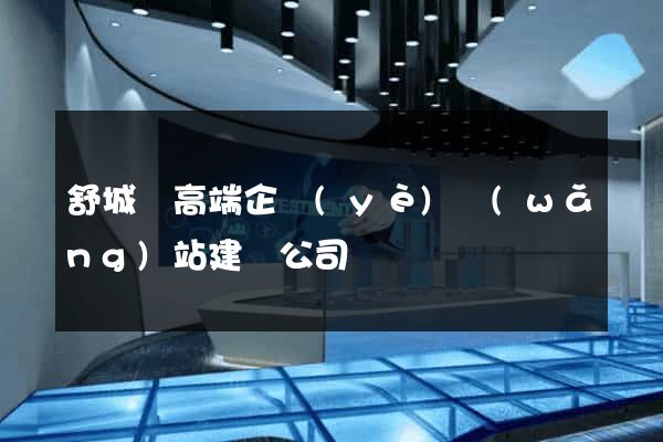 舒城縣高端企業(yè)網(wǎng)站建設公司