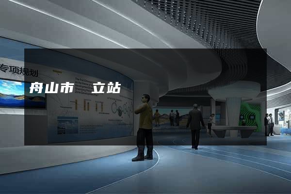 舟山市獨立站運營