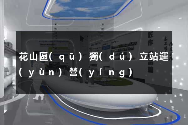 花山區(qū)獨(dú)立站運(yùn)營(yíng)