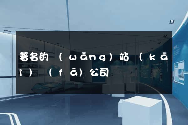 著名的網(wǎng)站開(kāi)發(fā)公司