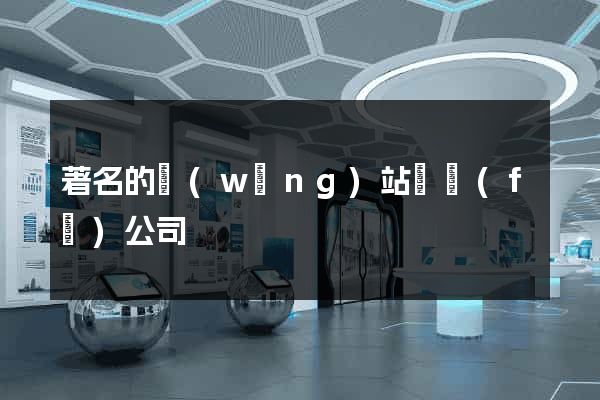 著名的網(wǎng)站開發(fā)公司