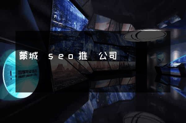 蒙城縣seo推廣公司