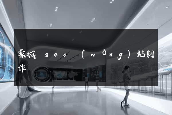 蒙城縣seo網(wǎng)站制作