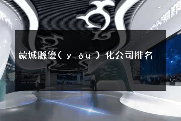 蒙城縣優(yōu)化公司排名
