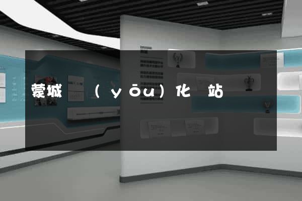 蒙城縣優(yōu)化網站