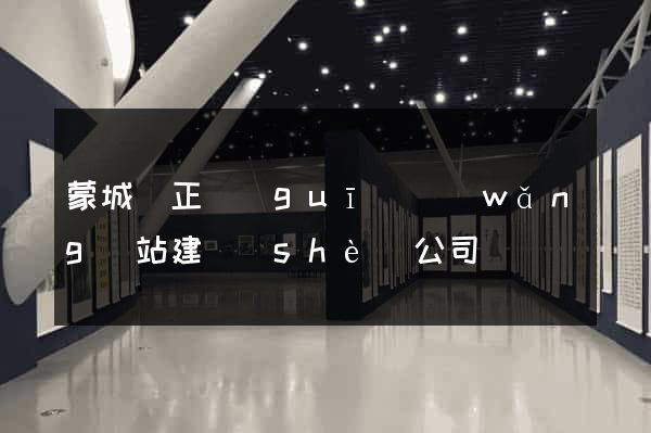 蒙城縣正規(guī)網(wǎng)站建設(shè)公司