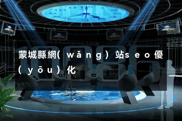 蒙城縣網(wǎng)站seo優(yōu)化
