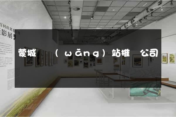 蒙城縣網(wǎng)站推廣公司