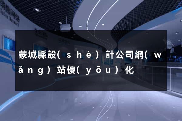 蒙城縣設(shè)計公司網(wǎng)站優(yōu)化