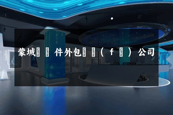 蒙城縣軟件外包開發(fā)公司