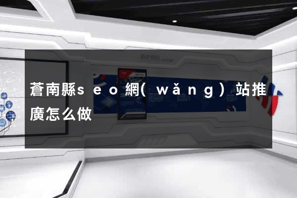 蒼南縣seo網(wǎng)站推廣怎么做