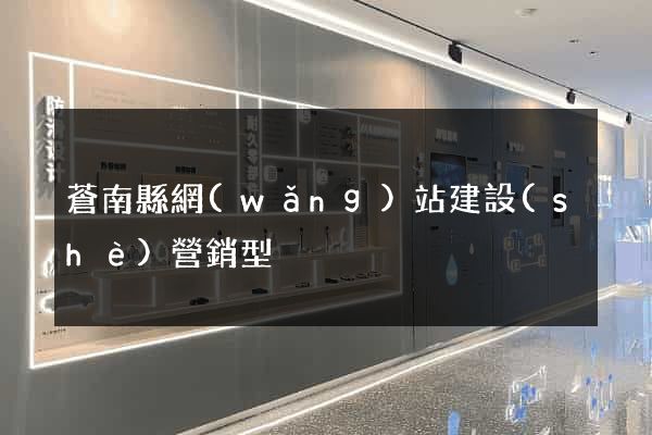 蒼南縣網(wǎng)站建設(shè)營銷型