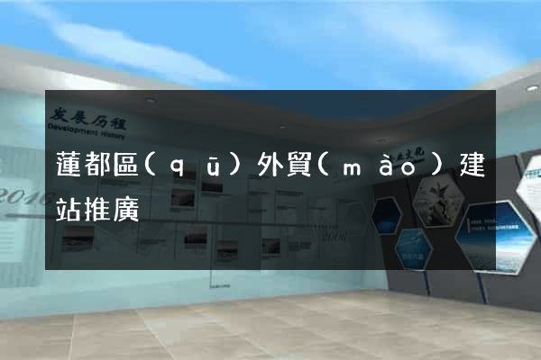 蓮都區(qū)外貿(mào)建站推廣