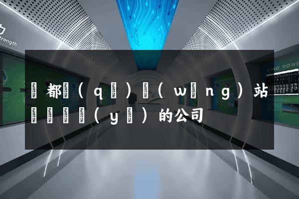 蓮都區(qū)網(wǎng)站設計專業(yè)的公司
