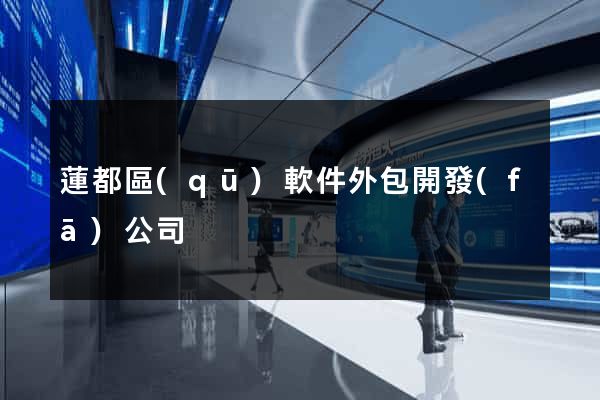蓮都區(qū)軟件外包開發(fā)公司