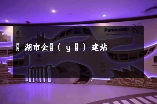 蕪湖市企業(yè)建站
