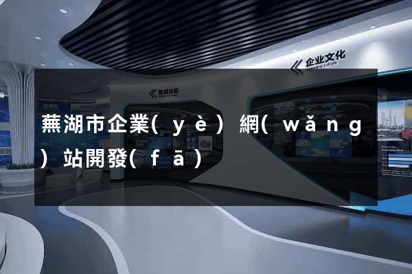 蕪湖市企業(yè)網(wǎng)站開發(fā)