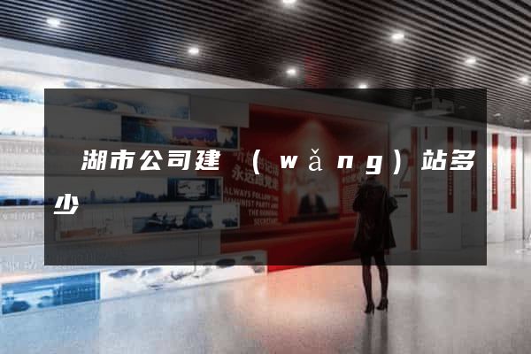 蕪湖市公司建網(wǎng)站多少錢