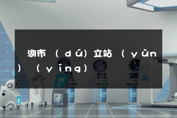 蕪湖市獨(dú)立站運(yùn)營(yíng)