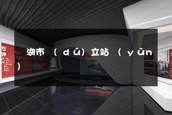 蕪湖市獨(dú)立站運(yùn)營