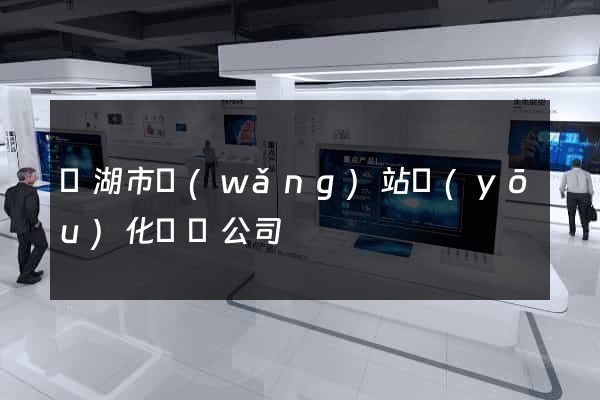 蕪湖市網(wǎng)站優(yōu)化設計公司