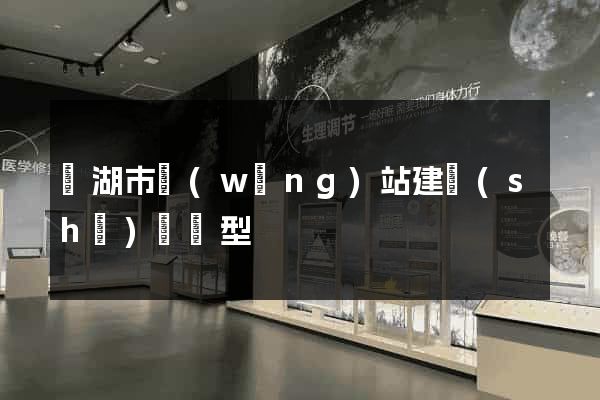 蕪湖市網(wǎng)站建設(shè)營銷型