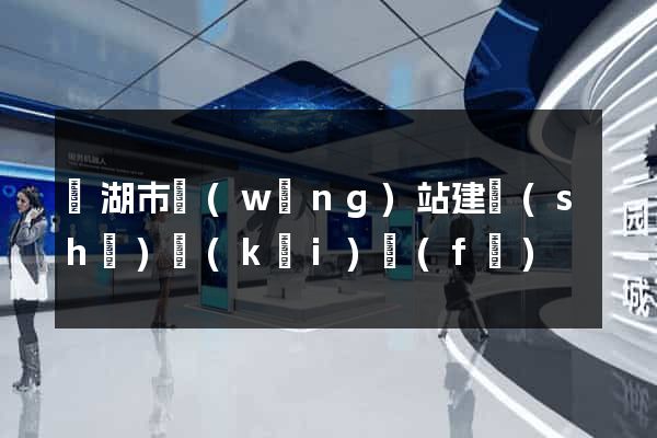 蕪湖市網(wǎng)站建設(shè)開(kāi)發(fā)