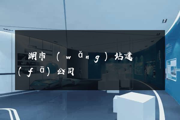 蕪湖市網(wǎng)站建設開發(fā)公司