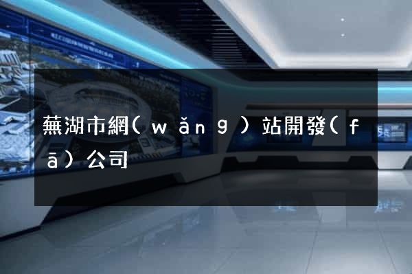 蕪湖市網(wǎng)站開發(fā)公司