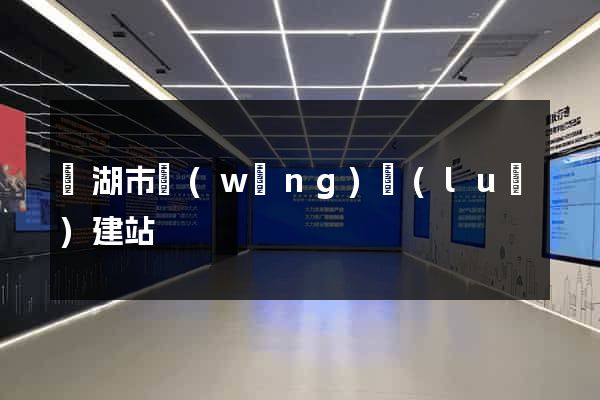 蕪湖市網(wǎng)絡(luò)建站