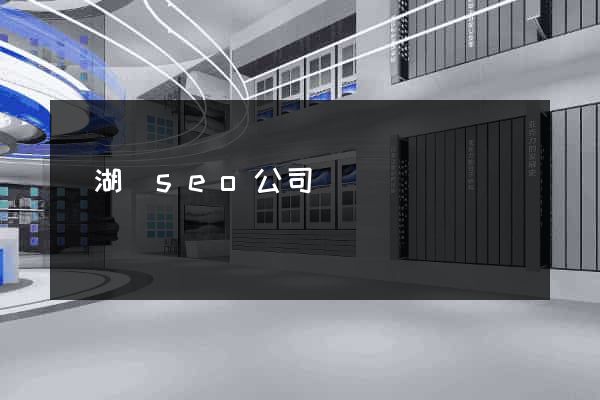 蕪湖縣seo公司