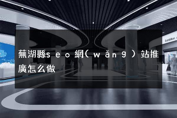 蕪湖縣seo網(wǎng)站推廣怎么做