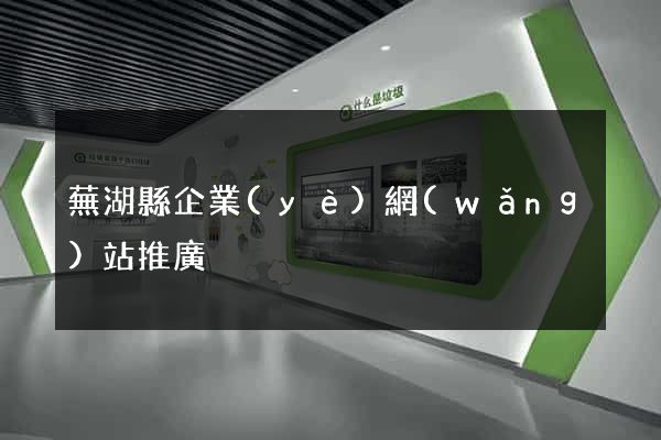 蕪湖縣企業(yè)網(wǎng)站推廣