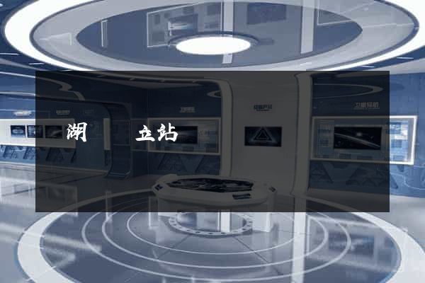 蕪湖縣獨立站運營