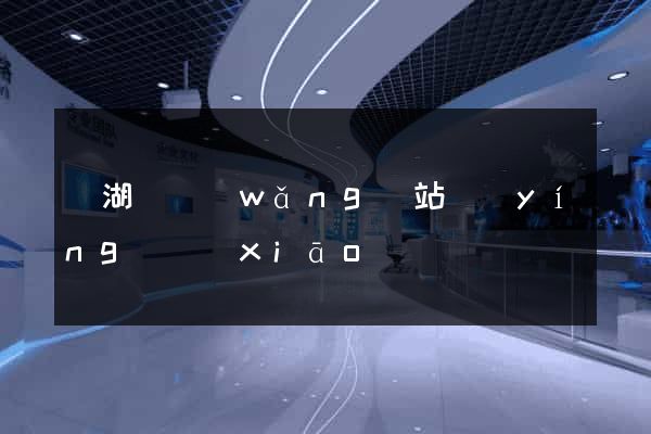 蕪湖縣網(wǎng)站營(yíng)銷(xiāo)